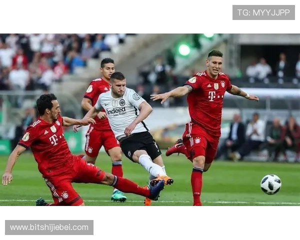 为什么世界杯每四年举行一次？从历史和组织角度深入分析